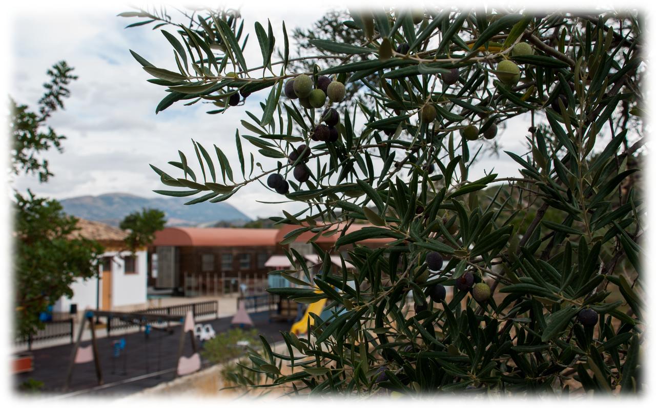 Hotel - Restaurante Estación Vía Verde Olvera Exterior foto